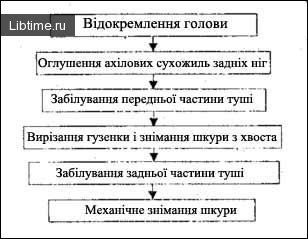 Схема послідовності операцій під час знімання шкур із туш ДРХ