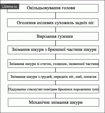 Схема послідовності операцій під час знімання шкур із свинячих туш