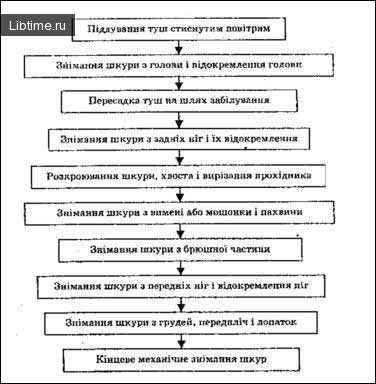 Схема послідовності операцій під час зніманні шкур із туш ВРХ