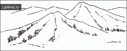 Кустарники в горах