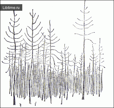 Рисование лиственничного леса зимой