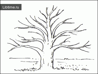 Рисуем дерево баобаб