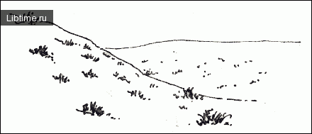 Рисуем кустарники пустыни