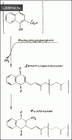 Синтез филлохинона