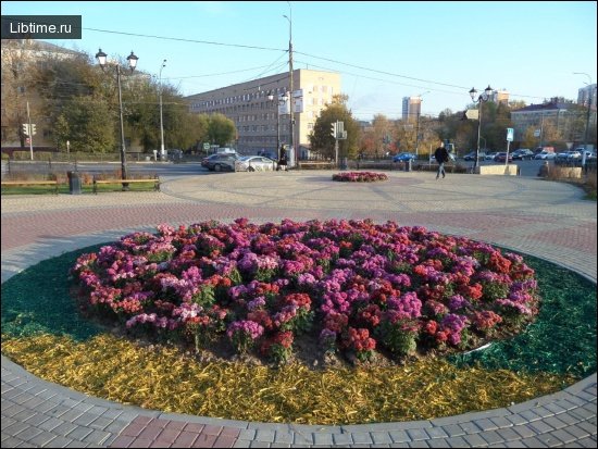 Квітник
