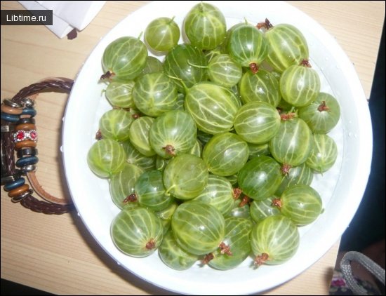 Крыжовник