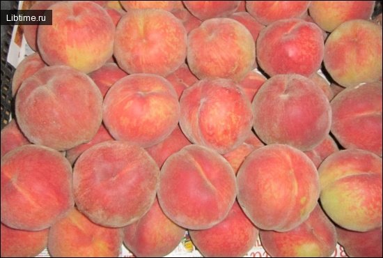 Описание сортов персика