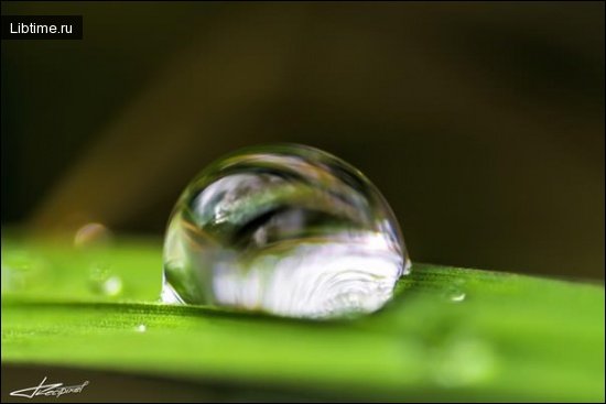 Капля воды
