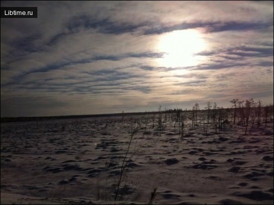 Северный полюс