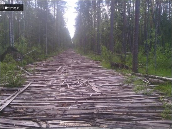 Дорога лесорубов
