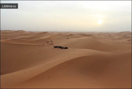 Красивая пустыня