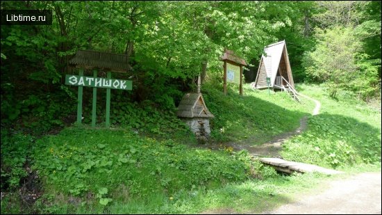 Источник в Карпатах