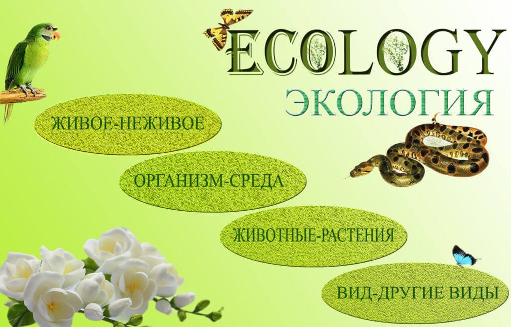 Экология - наука о взаимоотношениях между организмами и средой