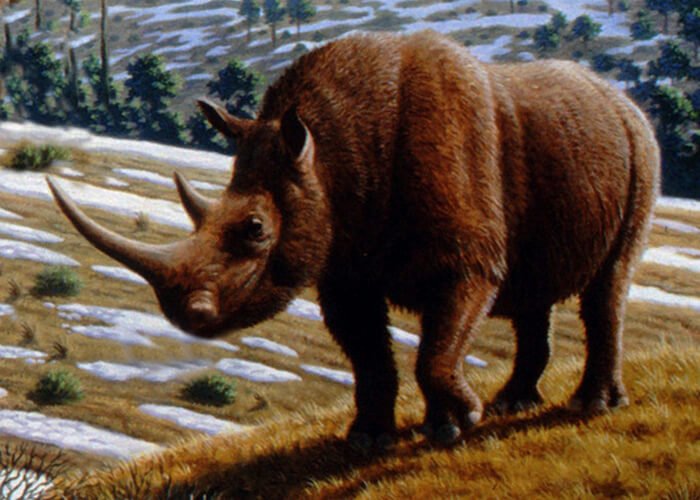 Древний носорог